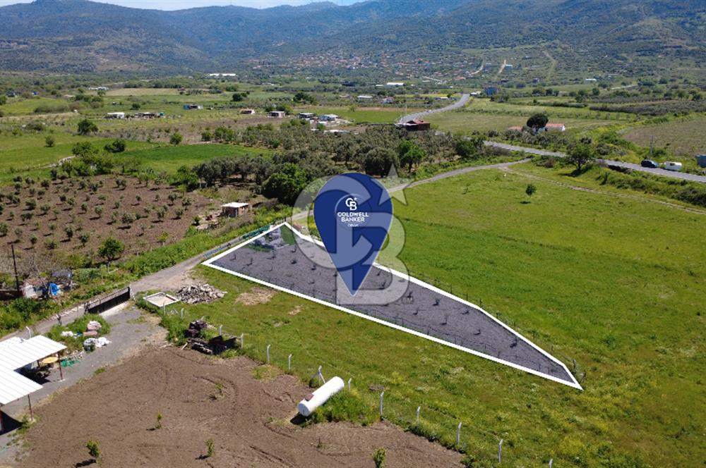 CB Odak’tan Çıtak’ta Yola Cepheli Elektrik-Su Hazır Tarla