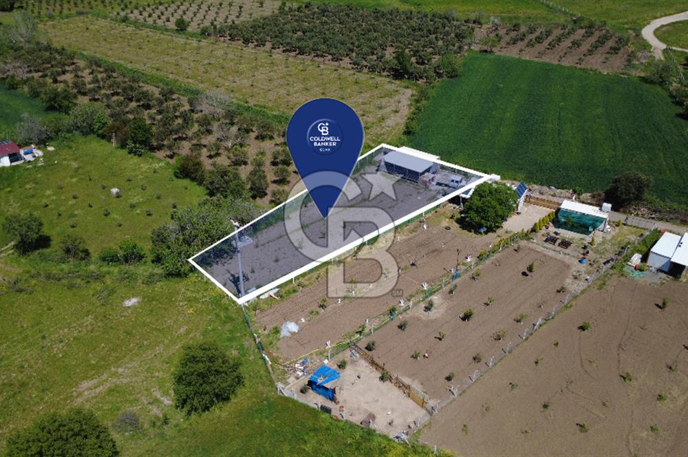 CB ODAK’tan Çıtak’ta Yola Cepheli, Konteyner Evli, Hazır Tarla