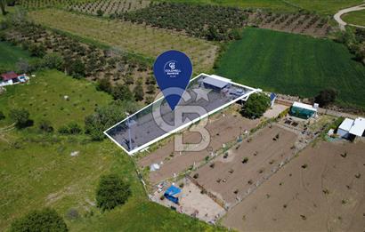 CB ODAK’tan Çıtak’ta Yola Cepheli, Konteyner Evli, Hazır Tarla