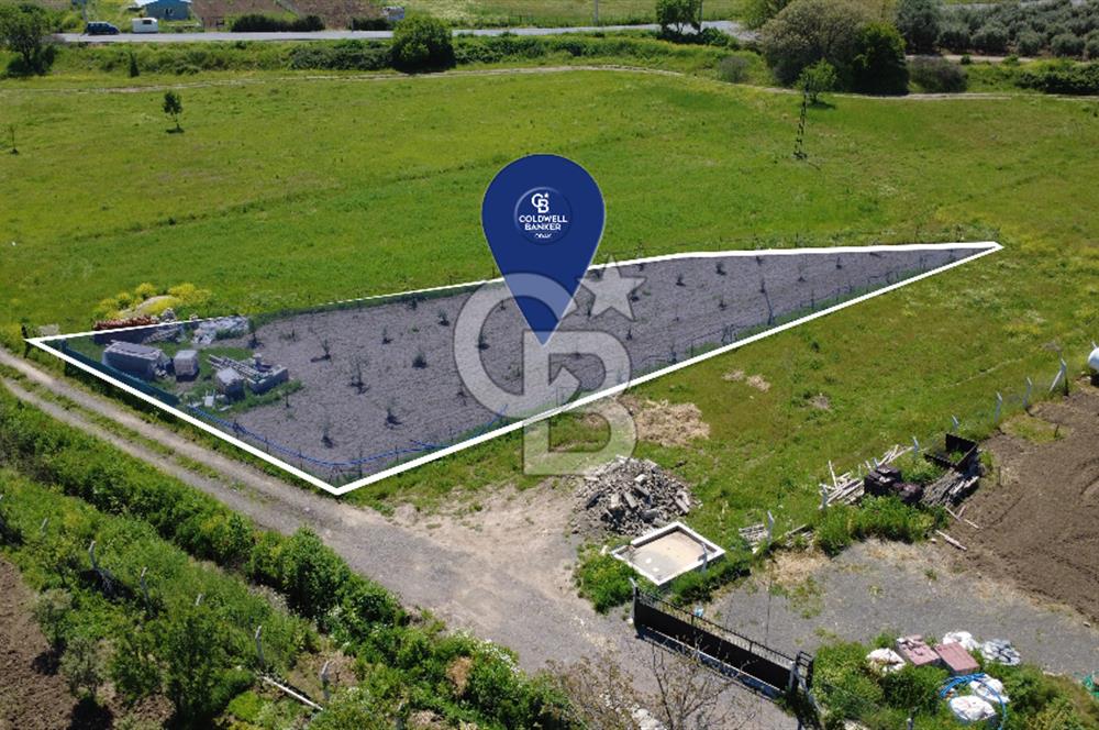 CB Odak’tan Çıtak’ta Yola Cepheli Elektrik-Su Hazır Tarla