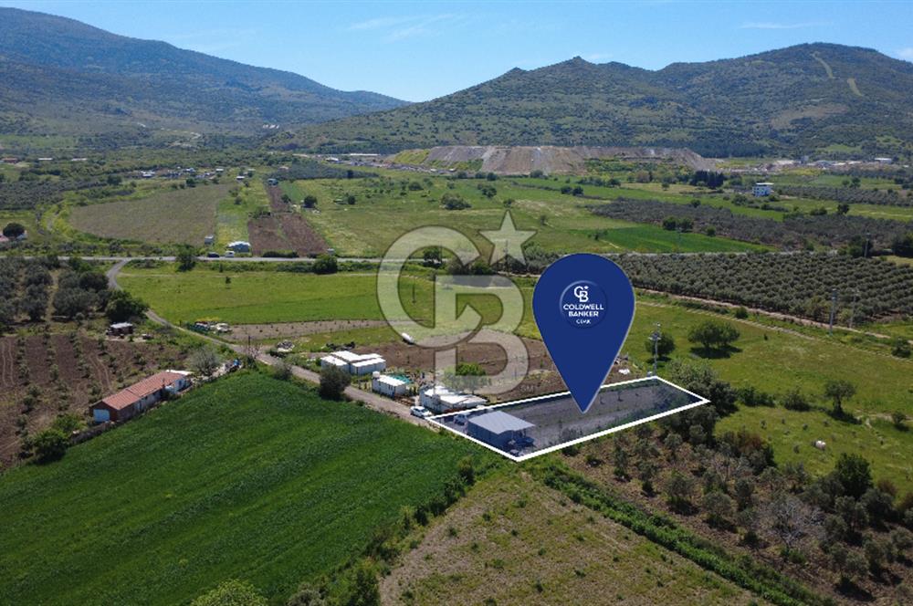 CB ODAK’tan Çıtak’ta Yola Cepheli, Konteyner Evli, Hazır Tarla