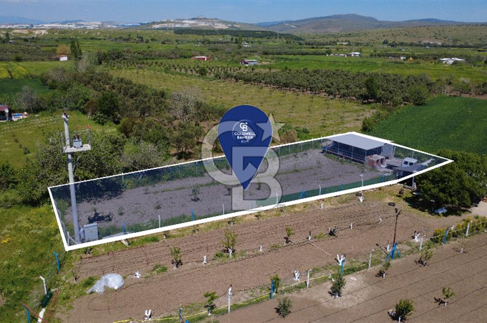 CB ODAK’tan Çıtak’ta Yola Cepheli, Konteyner Evli, Hazır Tarla