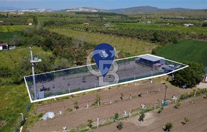 CB ODAK’tan Çıtak’ta Yola Cepheli, Konteyner Evli, Hazır Tarla