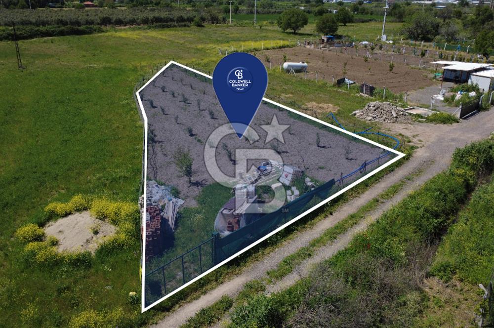 CB Odak’tan Çıtak’ta Yola Cepheli Elektrik-Su Hazır Tarla