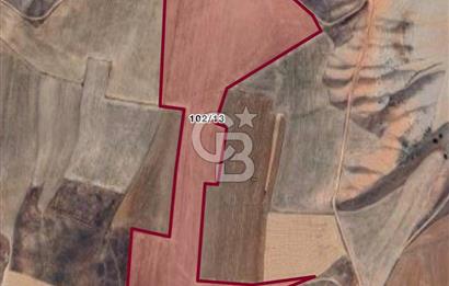 Kırşehir Kaman Gökeşme’de 161.814 m² Toplu Satılık Tarla 