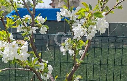 CB PREMIUM'DAN EŞYALI KİRALIK MÜSTAKİL DAİRE