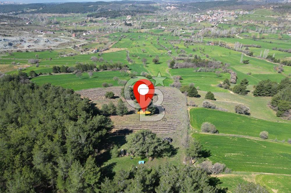 CB OPİA'DAN ''DOĞAYLA İÇ İÇE 10.269 m² YATIRIMLIK TARLA FISATI'