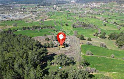 CB OPİA'DAN ''DOĞAYLA İÇ İÇE 10.269 m² YATIRIMLIK TARLA FISATI'