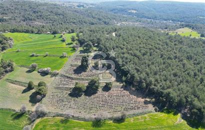 CB OPİA'DAN ''DOĞAYLA İÇ İÇE 10.269 m² YATIRIMLIK TARLA FISATI'