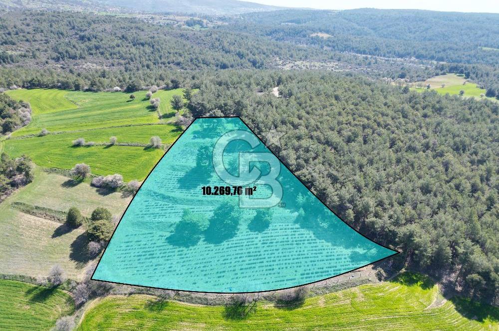 CB OPİA'DAN ''DOĞAYLA İÇ İÇE 10.269 m² YATIRIMLIK TARLA FISATI'