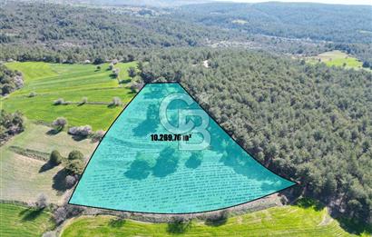 CB OPİA'DAN ''DOĞAYLA İÇ İÇE 10.269 m² YATIRIMLIK TARLA FISATI'