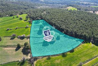 CB OPİA'DAN ''DOĞAYLA İÇ İÇE 10.269 m² YATIRIMLIK TARLA FISATI' - 4 - 345358