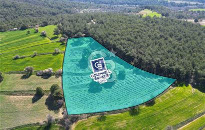 CB OPİA'DAN ''DOĞAYLA İÇ İÇE 10.269 m² YATIRIMLIK TARLA FISATI'