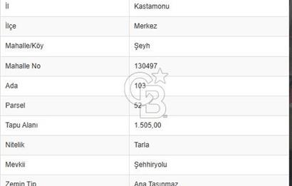 Kastamonu Şeyh Köyü'nde Satılık Tarla: 1505m², Yola Cepheli