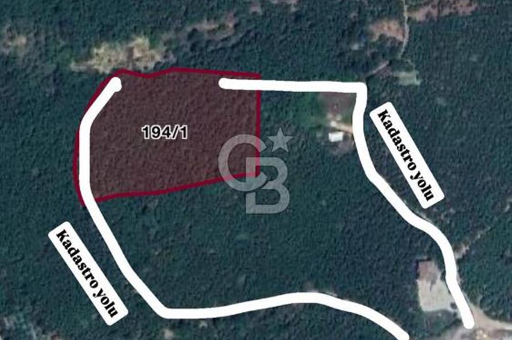 Düzce Akçakoca Arabacı Köyü’nde Satılık 10 Dönüm Meyve Bahçesi 