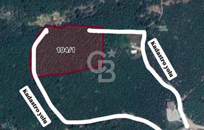 Düzce Akçakoca Arabacı Köyü’nde Satılık 10 Dönüm Meyve Bahçesi 