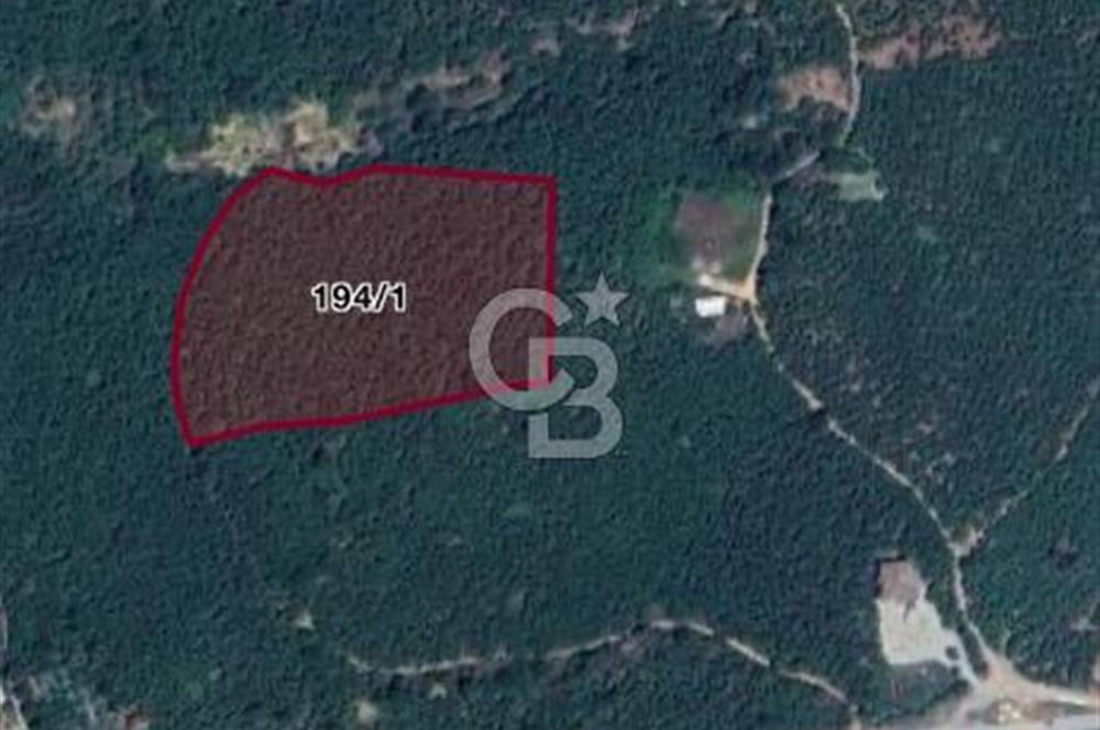 Düzce Akçakoca Arabacı Köyü’nde Satılık 10 Dönüm Meyve Bahçesi 