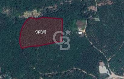 Düzce Akçakoca Arabacı Köyü’nde Satılık 10 Dönüm Meyve Bahçesi 