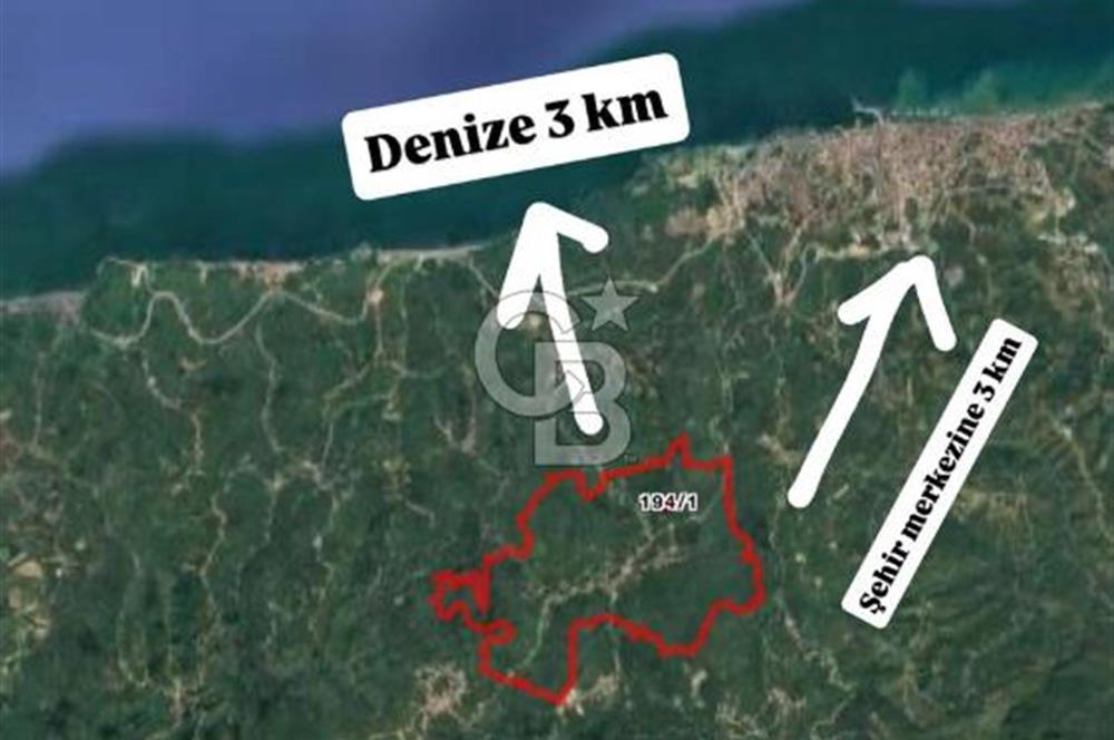 Düzce Akçakoca Arabacı Köyü’nde Satılık 10 Dönüm Meyve Bahçesi 