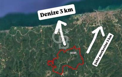 Düzce Akçakoca Arabacı Köyü’nde Satılık 10 Dönüm Meyve Bahçesi 