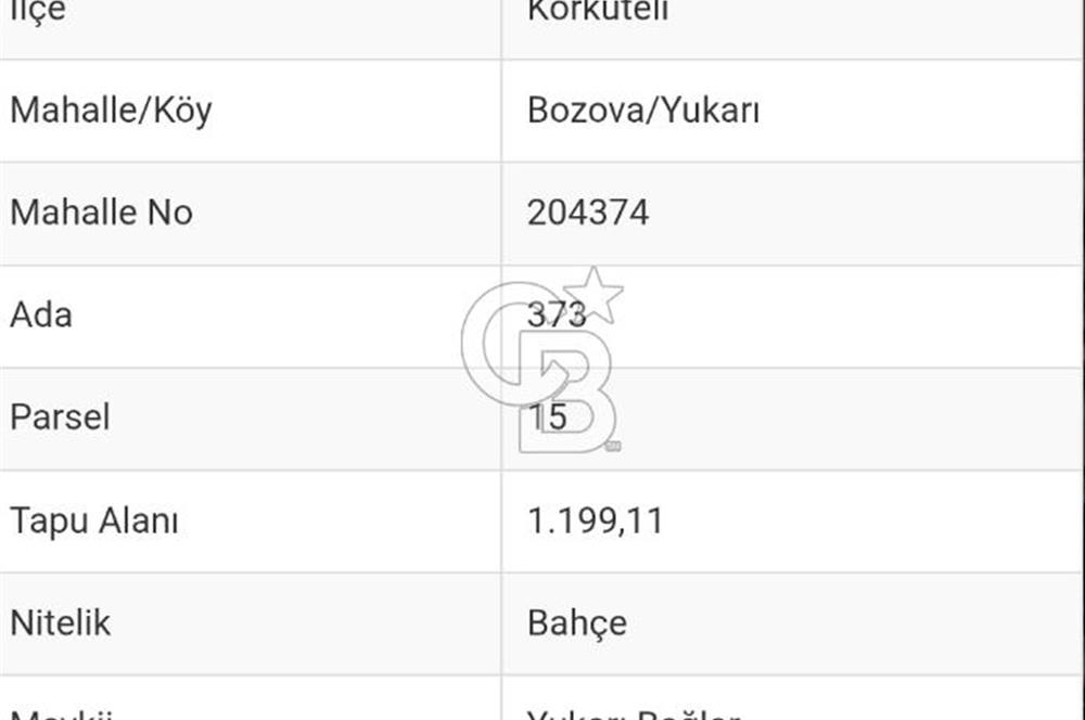 BOZOVADA YOLÜSTÜ TARLA