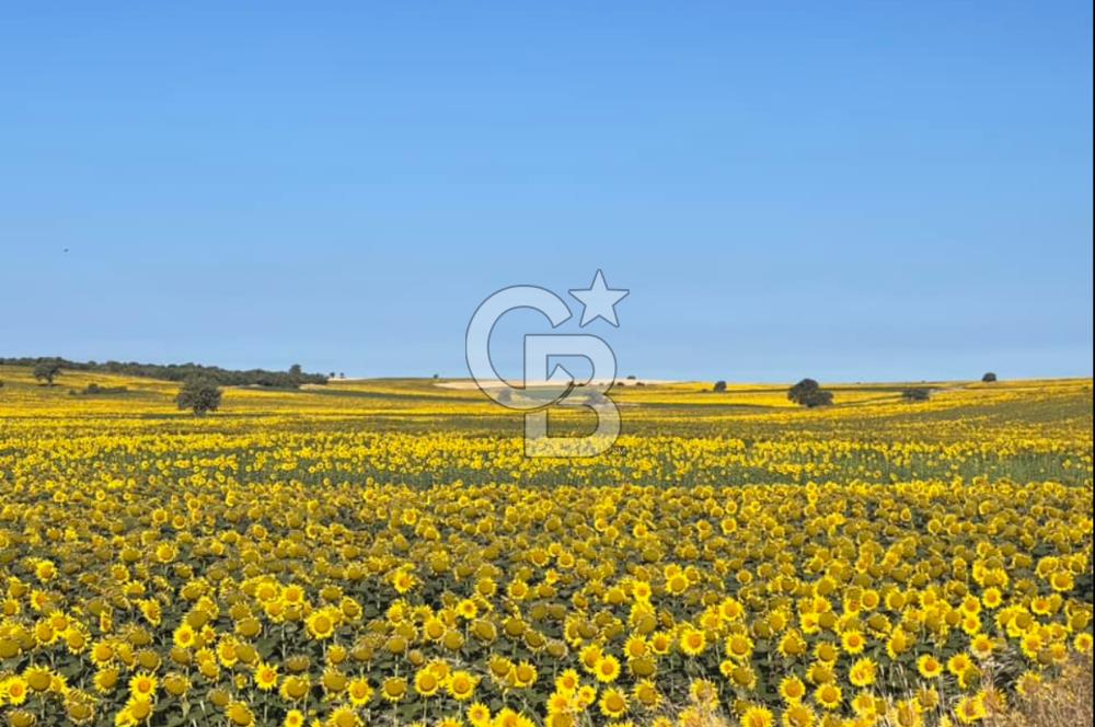 Enez Karaincirli'de , Sahile Yakın, Yatırımlık Satılık Tarla 