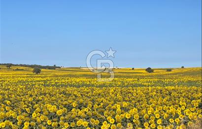 Enez Karaincirli'de , Sahile Yakın, Yatırımlık Satılık Tarla 