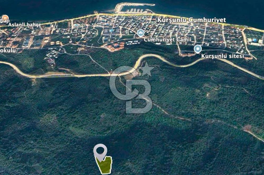 Kurşunluda Panoramik Deniz Manzaralı Taş Duvarlı Eşsiz Zeytinlik