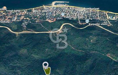 Kurşunluda Panoramik Deniz Manzaralı Taş Duvarlı Eşsiz Zeytinlik