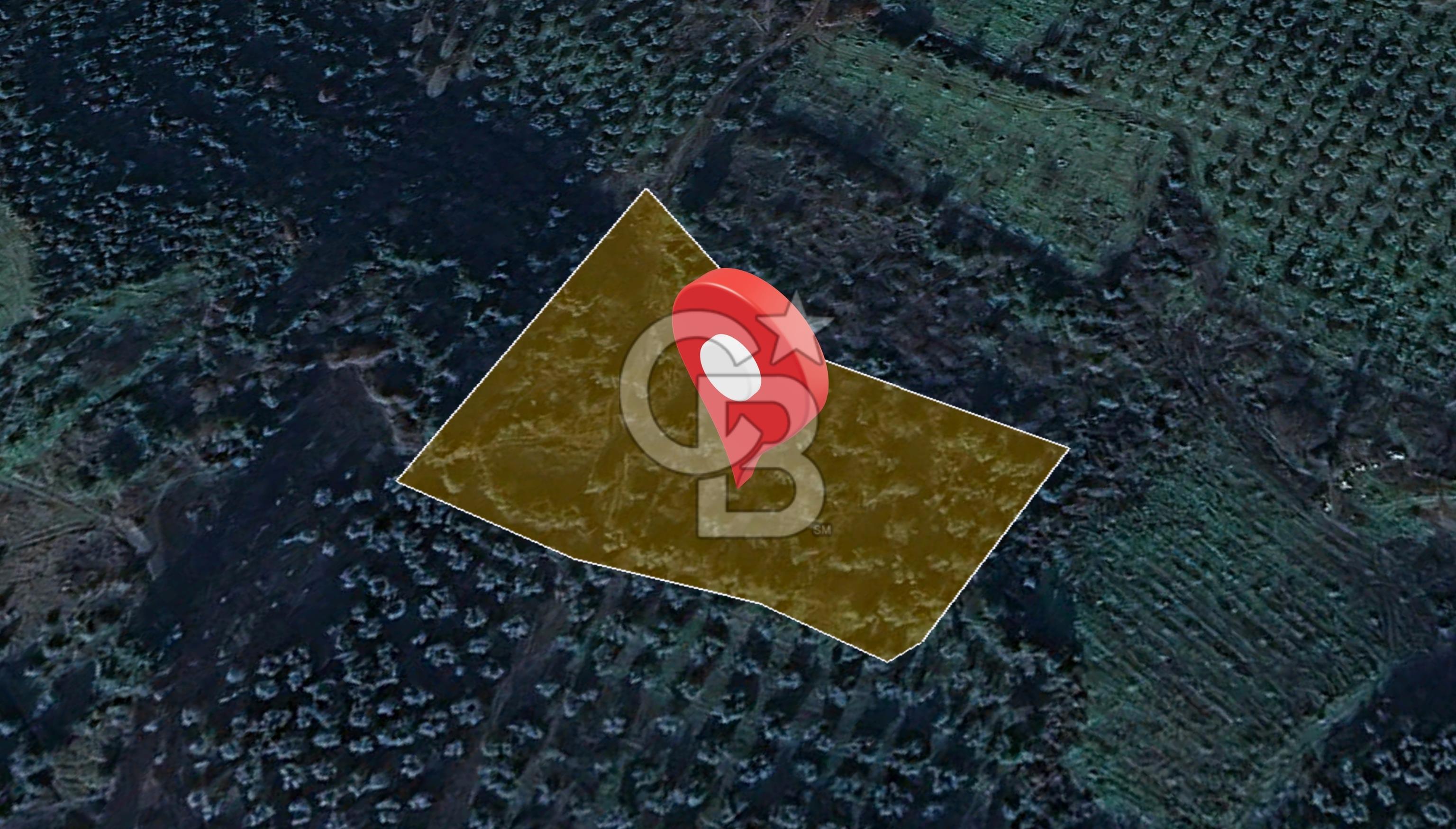 Kurşunlun'da 5.941 m² Yatırıma Uygun Satılık Zeytinlik