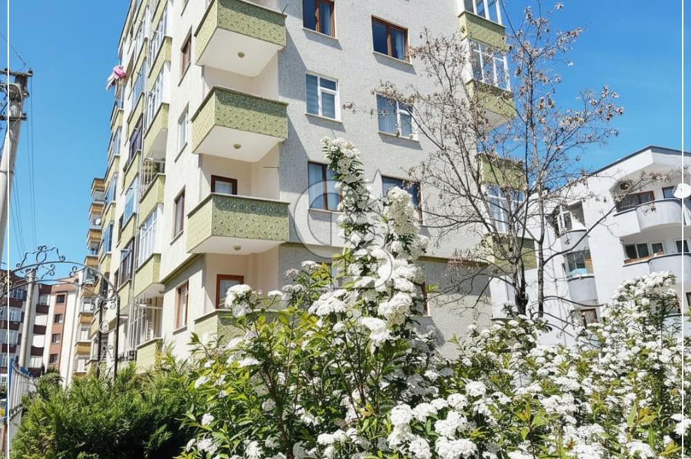 CB LİKA'DAN 1 NOLU BEŞİRLİDE KİRALIK 3+1 DAİRE