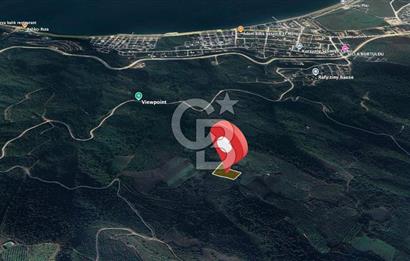 Kurşunlun'da 5.941 m² Yatırıma Uygun Satılık Zeytinlik