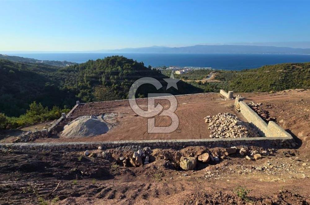 Kurşunluda Panoramik Deniz Manzaralı Taş Duvarlı Eşsiz Zeytinlik