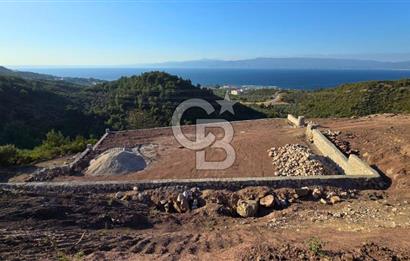 Kurşunluda Panoramik Deniz Manzaralı Taş Duvarlı Eşsiz Zeytinlik