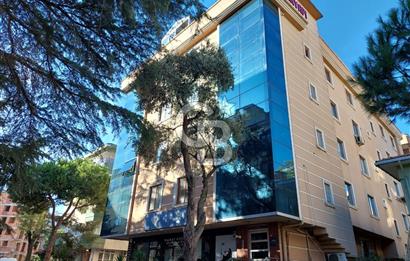 Pendik Batı mah kiralık 2+1 iş hanı katı 80 m2 net iskanlı ofis