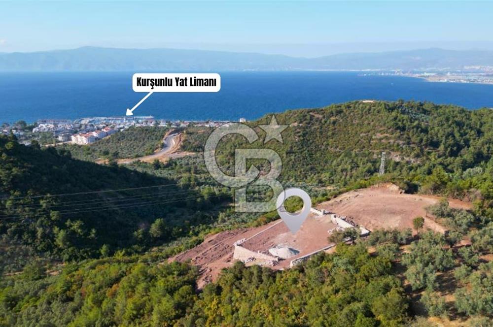 Kurşunluda Panoramik Deniz Manzaralı Taş Duvarlı Eşsiz Zeytinlik