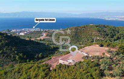 Kurşunluda Panoramik Deniz Manzaralı Taş Duvarlı Eşsiz Zeytinlik