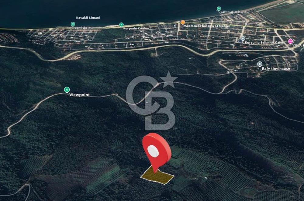 Kurşunlun'da 5.941 m² Yatırıma Uygun Satılık Zeytinlik