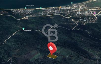 Kurşunlun'da 5.941 m² Yatırıma Uygun Satılık Zeytinlik