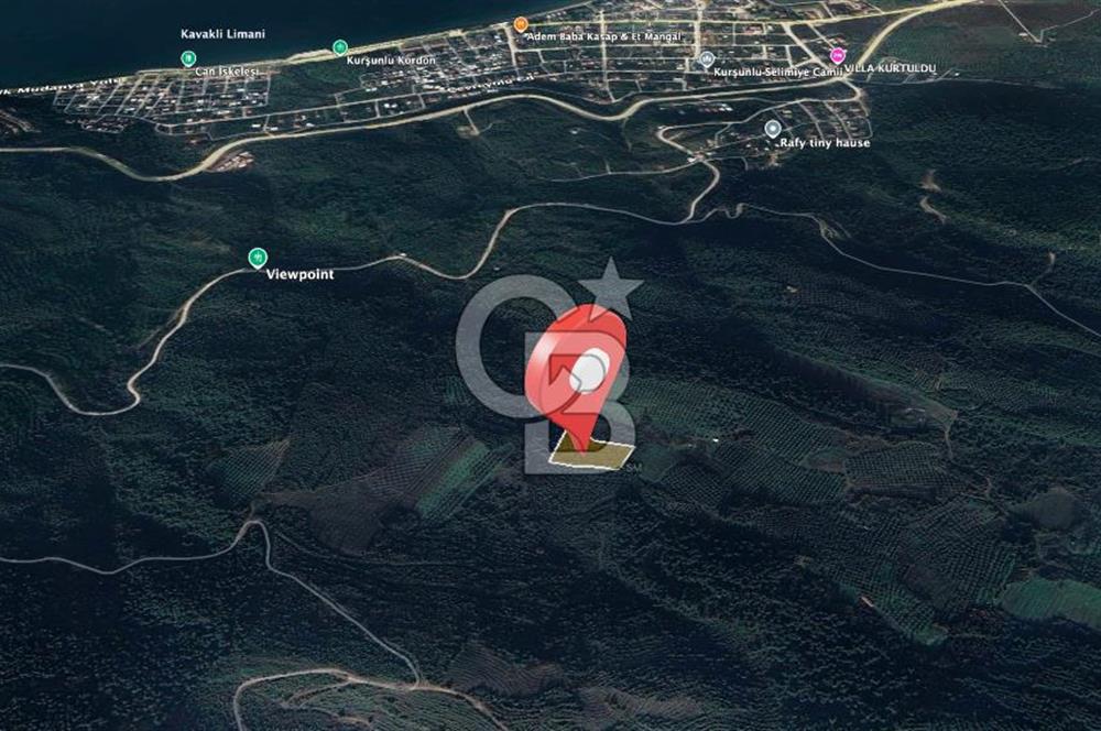 Kurşunlun'da 5.941 m² Yatırıma Uygun Satılık Zeytinlik