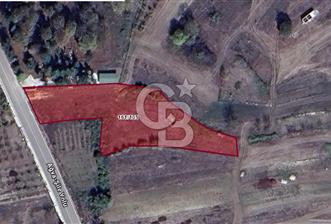 KANDIRA KUBUZCU, 2.555M2, MÜSTAKİL, YOLA CEPHE, KÖYİÇİ ARAZİ - 1 - 345493