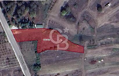 KANDIRA KUBUZCU, 2.555M2, MÜSTAKİL, YOLA CEPHE, KÖYİÇİ ARAZİ