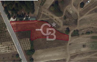 KANDIRA KUBUZCU, 2.555M2, MÜSTAKİL, YOLA CEPHE, KÖYİÇİ ARAZİ