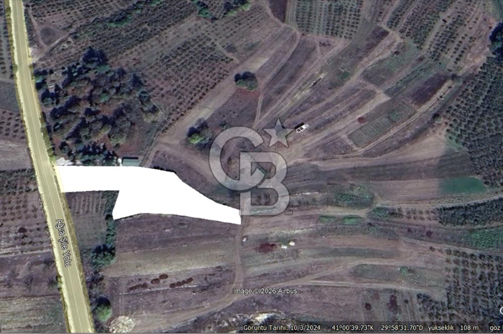 KANDIRA KUBUZCU, 2.555M2, MÜSTAKİL, YOLA CEPHE, KÖYİÇİ ARAZİ