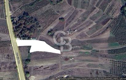 KANDIRA KUBUZCU, 2.555M2, MÜSTAKİL, YOLA CEPHE, KÖYİÇİ ARAZİ