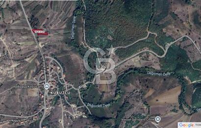 KANDIRA KUBUZCU, 2.555M2, MÜSTAKİL, YOLA CEPHE, KÖYİÇİ ARAZİ