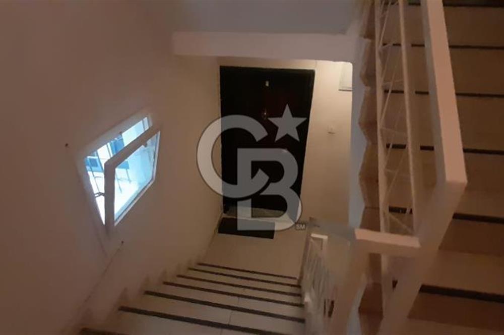  Adnan Süvari mah  İlahiyat Fakültesi Karşısı Kiralık Daire 