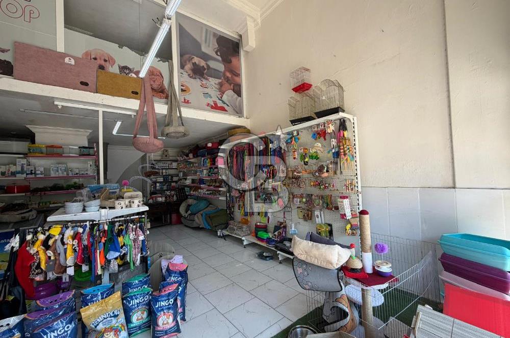 Merkezi Konumdaki Devren Kiralık Pet Market