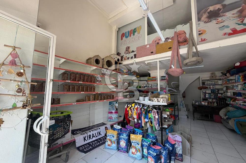 Merkezi Konumdaki Devren Kiralık Pet Market