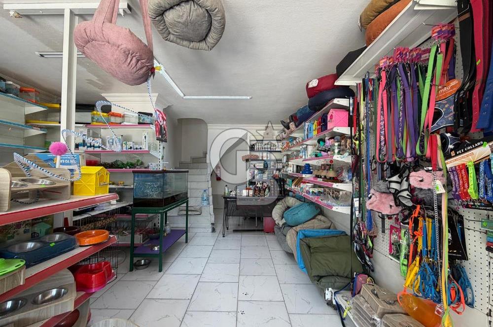 Merkezi Konumdaki Devren Kiralık Pet Market